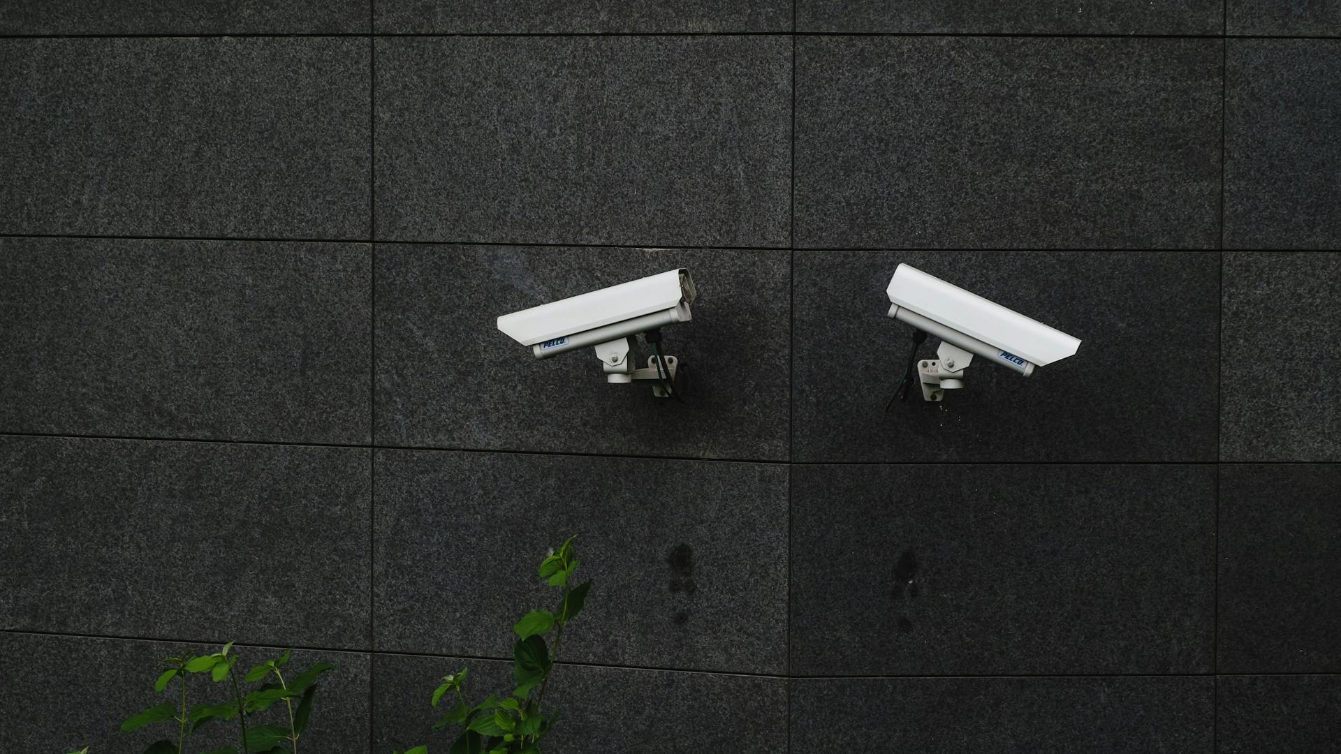 pexels-photo-9301020